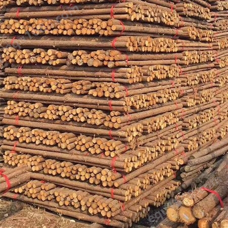 亿展木业 打桩木 杉木桩防腐浸泡杉木材质打桩原木 原木加工厂