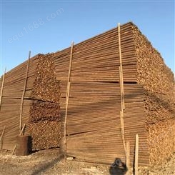 亿展木业 绿化苗木支撑杆 打桩木 优质杉木杆 源头产地
