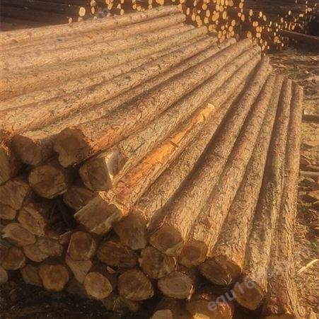 亿展木业 打桩木 杉木桩防腐浸泡杉木材质打桩原木 原木加工厂