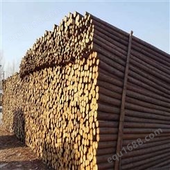 亿展木业 杉木桩 杉木原木杆 杉木杆 加工建筑木材批发 打桩木4米6米