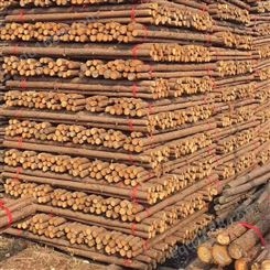 护坡 绿化支撑杆环保耐压 产品规格可选择 亿展木业