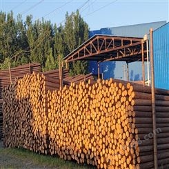 亿展木业 绿化支撑杆 河道打桩木削尖 木桩加工供应