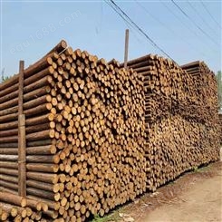 亿展木业 杉木杆 园林绿化杉木桩 打桩木 多种尺寸