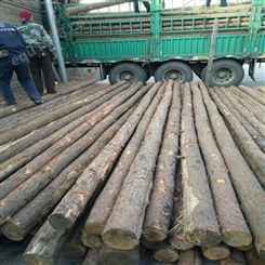 亿展木业 景观 杉木桩 受力能力较强 绿化木桩支撑杆