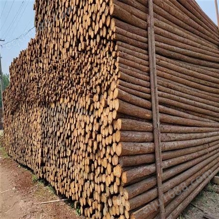 亿展木业 杉木桩 杉木原木杆 杉木杆 加工建筑木材批发 打桩木4米6米