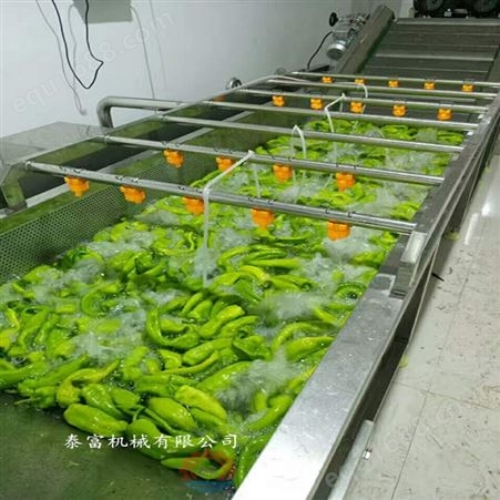 多功能蔬菜清洗机果蔬清洗设备菠菜洗菜机